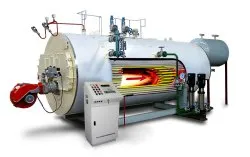 Steam Boilers With Lid 2 Lit Capacity