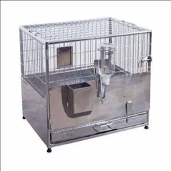 Rat Metabolic Cage