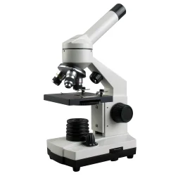 Compound Microscope