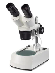 Dissecting Microscope