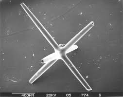 Spicules