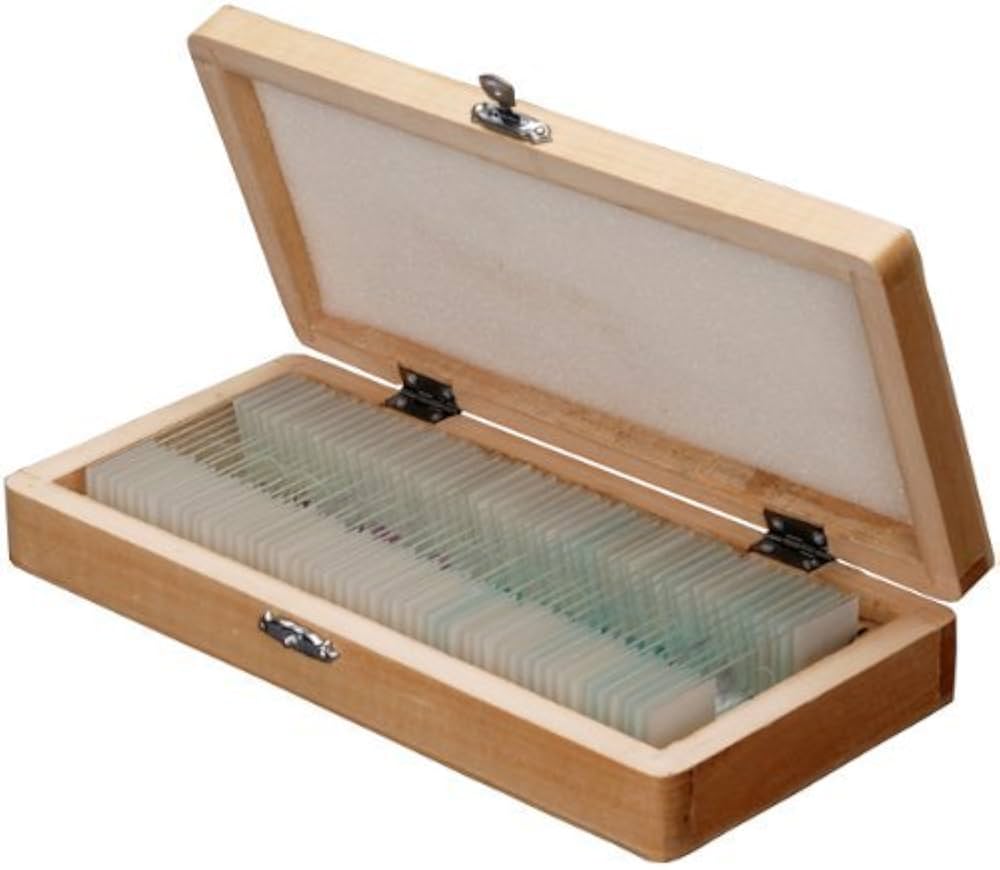 Slide set for entomology