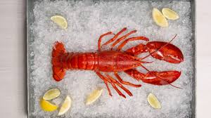 Lobster