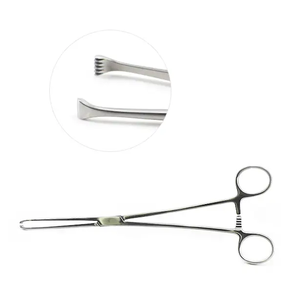Allis tissue holding Forceps 8'