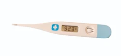 Digital Thermometer