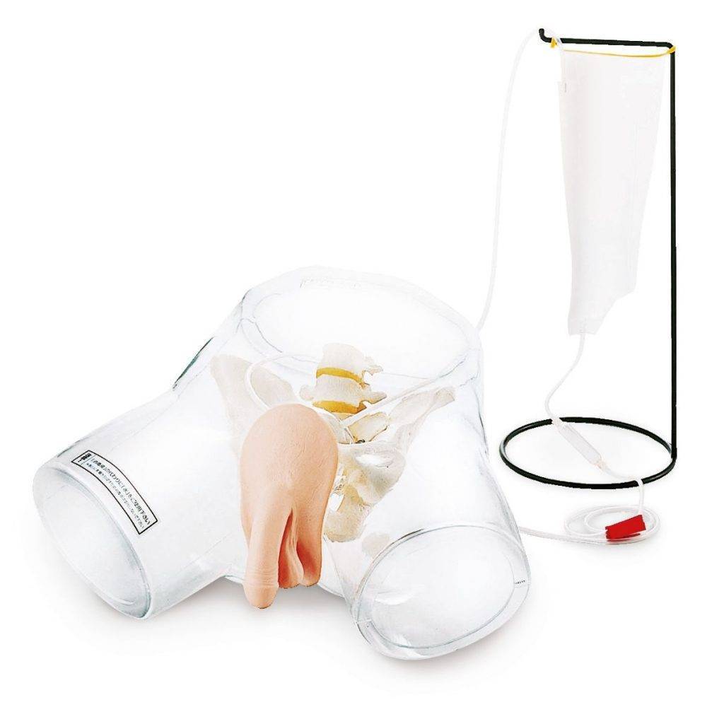Transparent Male Urethral Catheterization Simulator