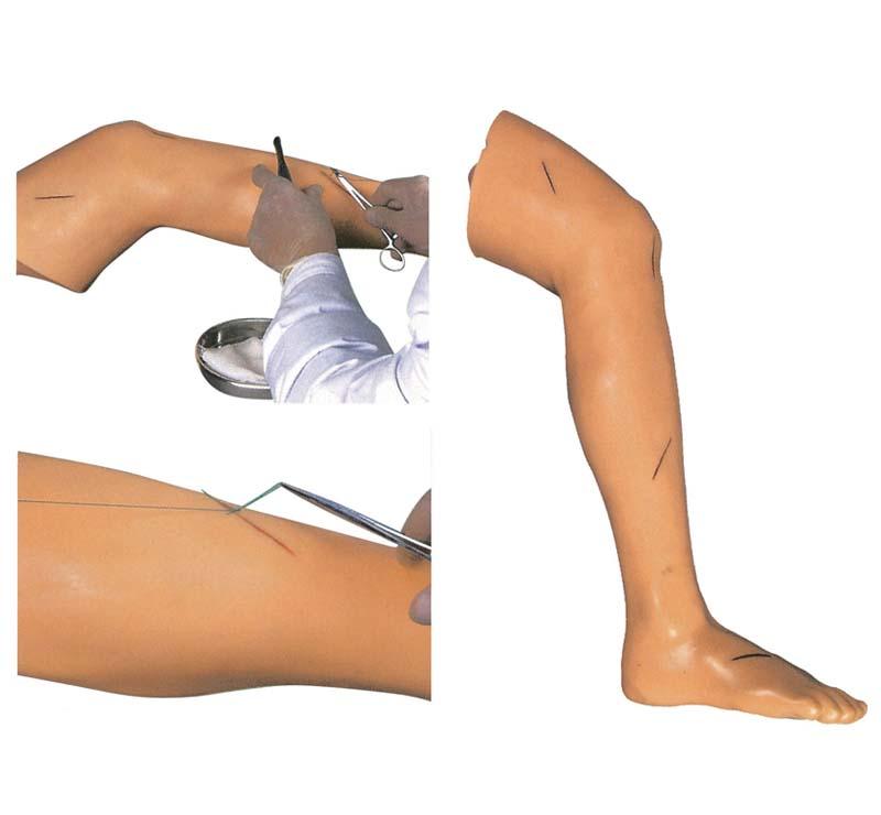 Leg Suturing