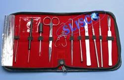Dissection Box