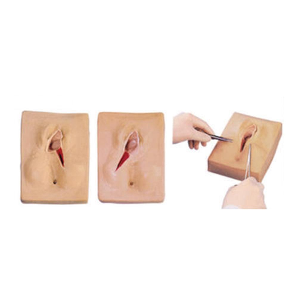 Vulva Sutruing Training Simulator