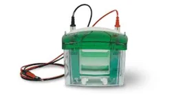 Electrophorus