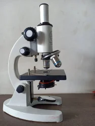 Compound Microscope
