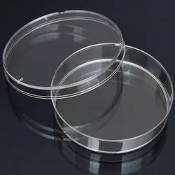 Petri Dishes