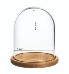 Air Pump For Bell In Bell Jar