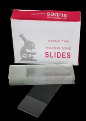 Permanent Slides for various tissues